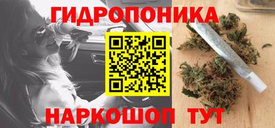 молекула духа Краснознаменск