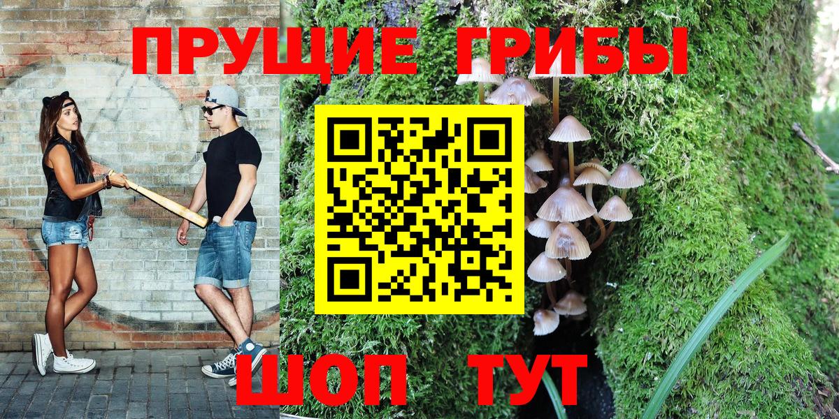 Галлюциногенные грибы Psilocybine cubensis Элиста