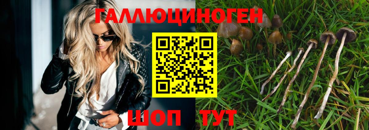 Элиста  Псилоцибиновые грибы Magic Shrooms  Псилоцибиновые грибы Psilocybine cubensis  Вход с VPN 